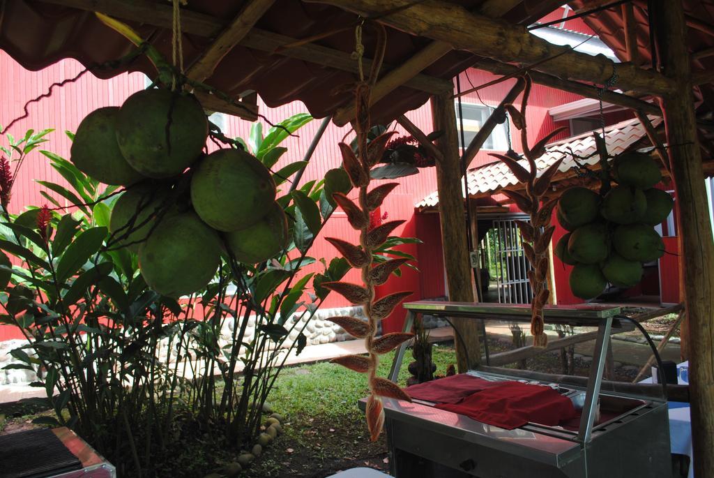 Islas Del Rio Hostel Тиримбина Экстерьер фото
